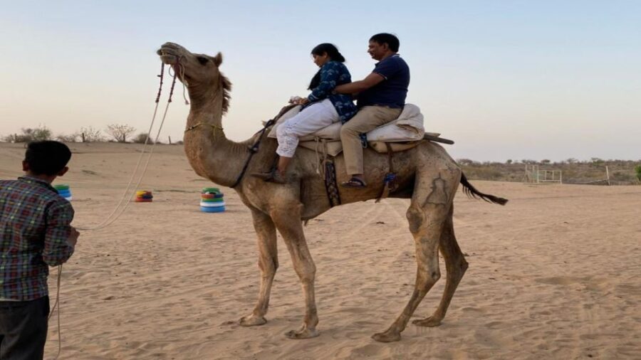 From Jodhpur: Half-Day Tour, Camel Ride, & Dinner in Osian - A Closer Look at the Tour Itinerary
