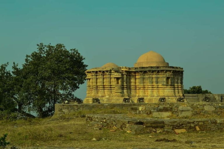 From Jodhpur: Tour of Kumbhalgargh Fort and Ranakpur Temple - What Makes This Tour Valuable
