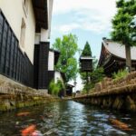 From Kanazawa: Shirakawago, Hida-Furukawa and Takayama Visit - The Practicalities and Value