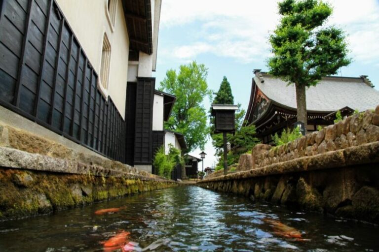 From Kanazawa: Shirakawago, Hida-Furukawa and Takayama Visit - The Practicalities and Value