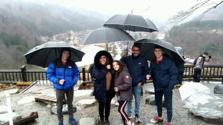 From Kanazawa: Shirakawago Tour with Guide & Transportation - Is It Worth the Price?