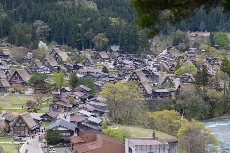 From Kanazawa/Toyama: Shirakawago and Takayama Day Tour - Who is This Tour Best For?