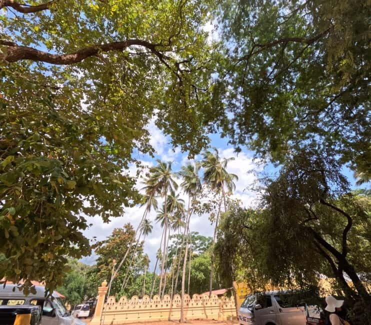 From Kandy: Sigiriya & Dambulla Day Tour with Safari - Practical Tips for a Smooth Experience