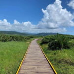 From Kaohsiung: Kenting & Ocean Coast Private Day Tour - Authentic Experiences and Tips