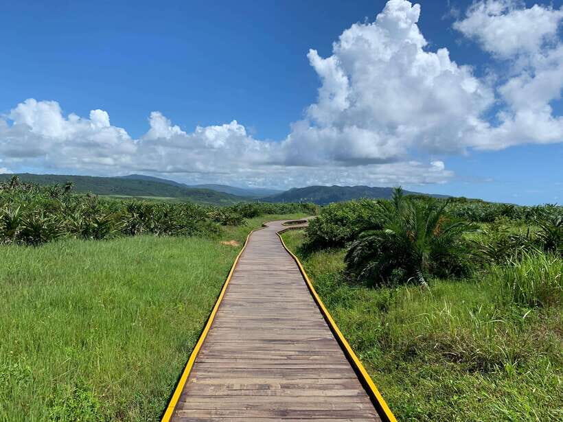 From Kaohsiung: Kenting & Ocean Coast Private Day Tour - Authentic Experiences and Tips