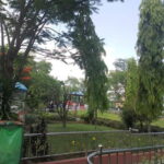 From Kathmandu: 5-Day Easy Trek & Pokhara City Tour - Transportation and Accommodation: Comfort and Convenience