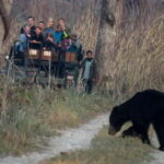 From Kathmandu/Pokhara: 3-Day Chitwan National Park Tour - Check-in and First Impressions in Sauraha