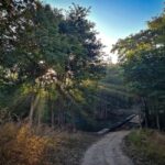 From Khajuraho: Panna National Park Official Tiger Safari - FAQ