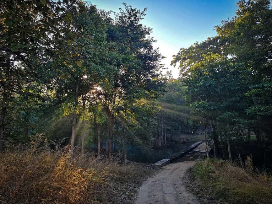 From Khajuraho: Panna National Park Official Tiger Safari - FAQ