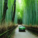 From Kobe/Osaka: Kyoto Full-Day Guided Tour with Vehicle - The Private Vehicle & Transportation