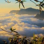 From Kochi:- 03 Days Munnar with Periyar Wildlife Tour - Overview of the Tour Experience