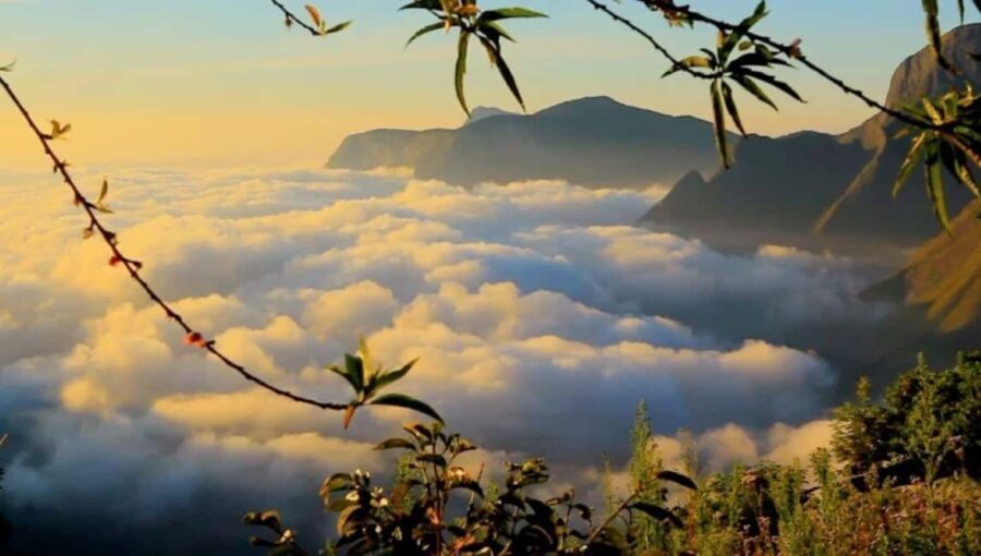 From Kochi:- 03 Days Munnar with Periyar Wildlife Tour - Overview of the Tour Experience