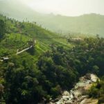 From Kochi: Munnar Hill Station Day Trip - Practical Tips for the Trip