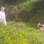 From Kochi: Munnar & Tea Museum Private Guided Tour - Authentic Review Insights