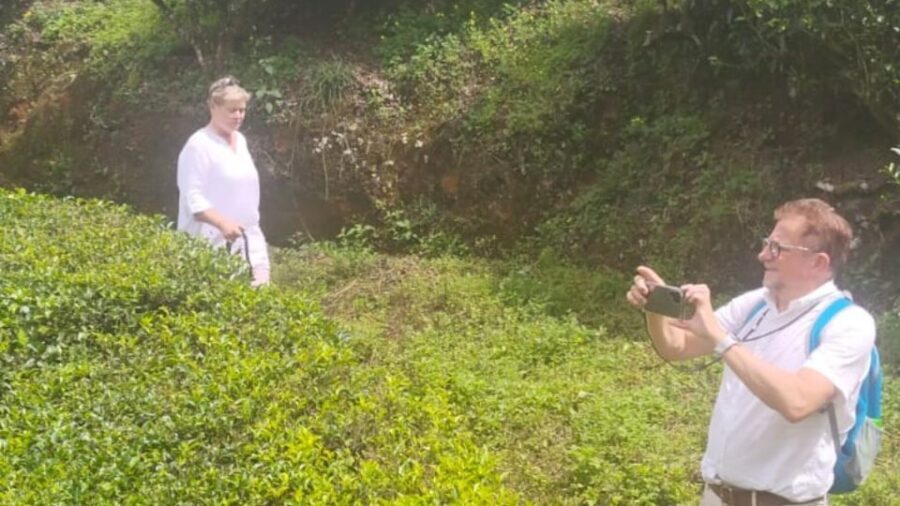 From Kochi: Munnar & Tea Museum Private Guided Tour - Authentic Review Insights