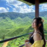 From Kuala Lumpur: Cameron Highlands Day Tour w/Lunch&Pickup - The Value of This Tour