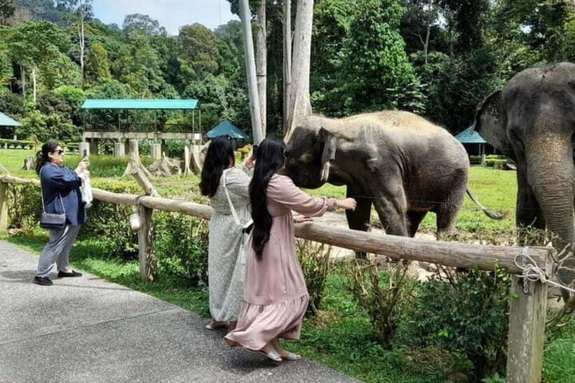 From Kuala Lumpur: Kuala Gandah & Batu Caves Day Trip - Authentic Experiences from Review Insights