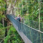 From Kuala Lumpur Taman Negara Day Trip With Lunch - Comfortable Transportation