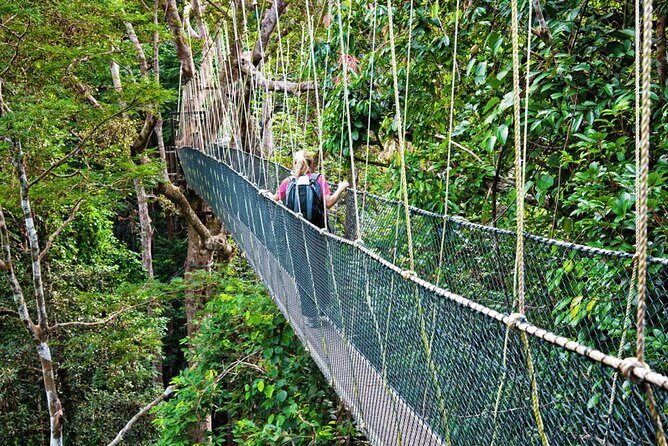 From Kuala Lumpur Taman Negara Day Trip With Lunch - Comfortable Transportation
