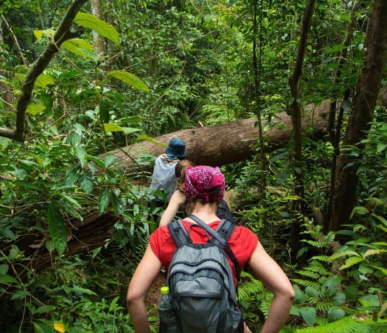 From Kuala Lumpur: Taman Negara National Park Private Tour - Authentic Experiences and Tips Visitors Loved