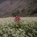 From Moc Chau: 2-Day Villages & Waterfall Tour - How the Experience Feels in Practice