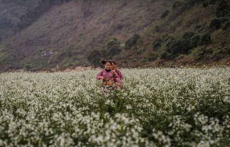 From Moc Chau: 2-Day Villages & Waterfall Tour - How the Experience Feels in Practice