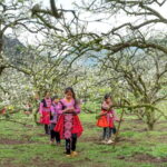 From Moc Chau: 3-Day Tea Farm and Waterfall Tour - A Detailed Look at the Itinerary