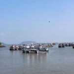 From Mumbai: Full-Day Elephanta Caves Tour - An In-Depth Look at the Tour Experience