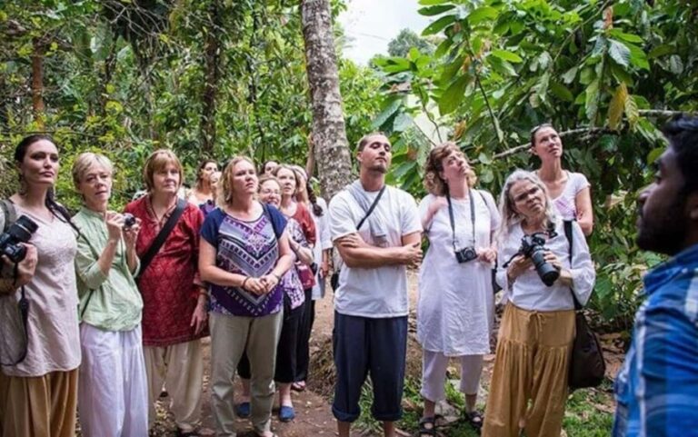 From Munnar: Tea Factory, Plantation, and National Park Tour - Practical Tips for the Tour