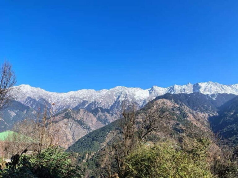 From Naddi: Guided Himalayan Nomad Culture & Nature Walk - How to Make the Most of This Experience