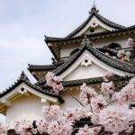 From Nagoya: Castles and Canals in Hikone and Omi Hachiman - The Charm of Hikone Castle