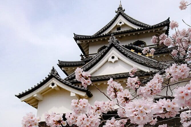 From Nagoya: Castles and Canals in Hikone and Omi Hachiman - The Charm of Hikone Castle