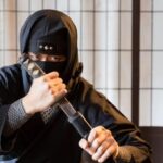 From Nagoya: Myths and Mystery of Ninja and the Tokaido Road - Practical Details and Value