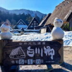 From Nagoya: Shirakawa-go & Hida-Takayama Full Day Trip - Practical Details and Value