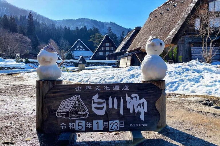 From Nagoya: Shirakawa-go & Hida-Takayama Full Day Trip - Practical Details and Value