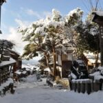 From Nagoya: Soba Cooking Class & Nakasendo Traditions - Is This Tour Right for You?