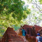 From Negombo: Sigiriya and Dambulla Day Trip and Safari - The Realities of the Tour: What You Should Know