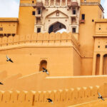 From New Delhi: Private Day Trip to Jaipur with Local Guide - What’s Included and What’s Not