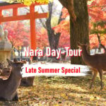 From Osaka: 10-hour Private Customized Tour to Nara - Practical Details & Considerations