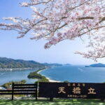 From Osaka/Kyoto: Amanohashidate Day TourIncluding tickets - The Value of This Experience
