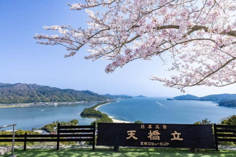 From Osaka/Kyoto: Amanohashidate Day TourIncluding tickets - The Value of This Experience