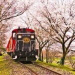 From Osaka: Kyoto, Nara, Fushimi Inari & Arashiyama Day Tour - Who Is This Tour Best Suited For?