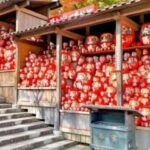 From Osaka/Kyoto : Private Osaka Day Trip w/Pickup & Dropoff - Who Will Enjoy This Tour?