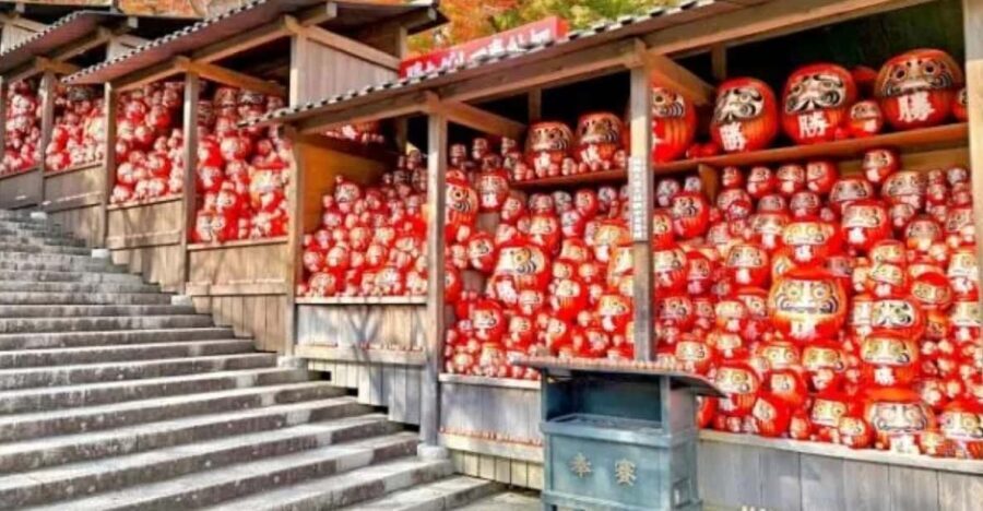 From Osaka/Kyoto : Private Osaka Day Trip w/Pickup & Dropoff - Who Will Enjoy This Tour?