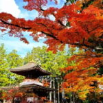 From Osaka: Mt. Koya Autumn Leaves Tour with Fruit Picking - The Fun of Fruit Picking in Wakayama