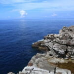 From Osaka: Shirahama Coastal Scenery Day Tour - Who Is This Tour Best For?