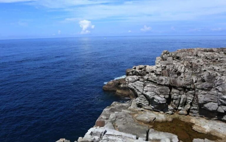 From Osaka: Shirahama Coastal Scenery Day Tour - Who Is This Tour Best For?