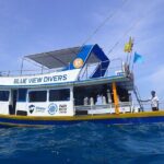 From Phi Phi: Half Day Trip for Certified Divers (2 Dives) - Detailed Itinerary and What to Expect