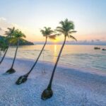 From Phu Quoc: Discover 4 Islands by Speedboat Full Day Tour - How This Tour Reflects Value