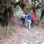 From Pokhara: 2-day Panchase Hill Hiking Tour & Return Drive - Detailed Breakdown of the Itinerary